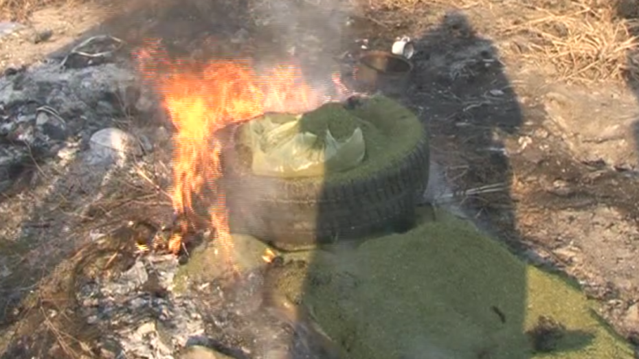 Воронежские наркополицейские сожгли более 25 кг наркотиков