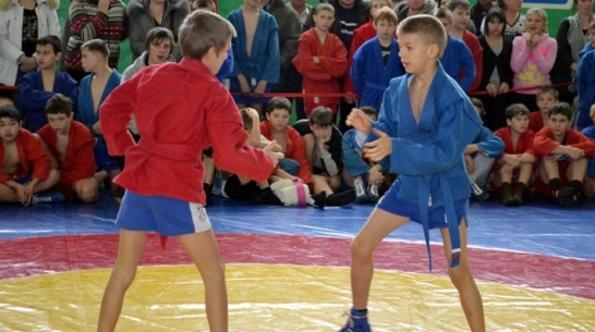 В Таловой прошел областной турнир по самбо