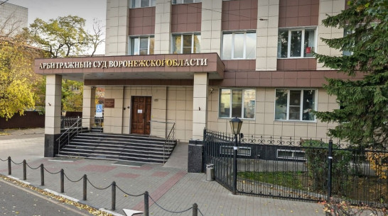 ВККС отправила в отставку председателя Воронежского арбитражного суда