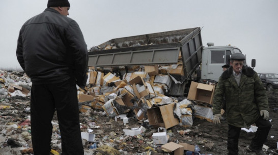 Воронежскую региональную программу по обращению с отходами разработают к июлю