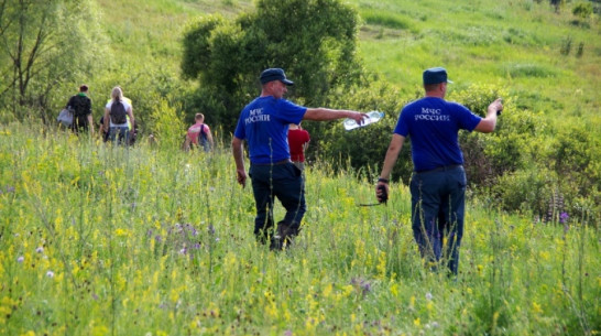 Поисковики начали сбор подписей в защиту отца погибшего под Воронежем малыша