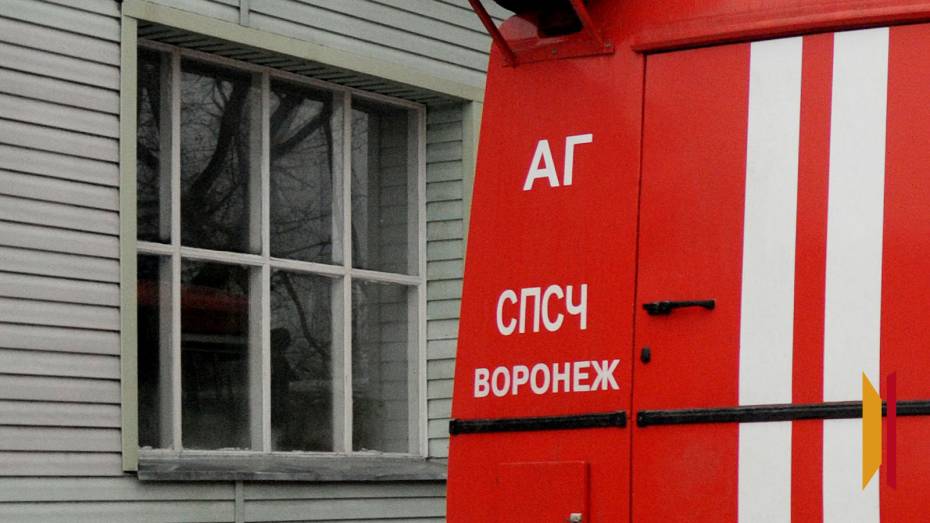 В Воронеже ночью загорелись 4 автомобиля