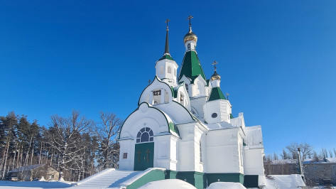Мэрия согласилась остановить судебный спор по поводу храма на окраине Воронежа