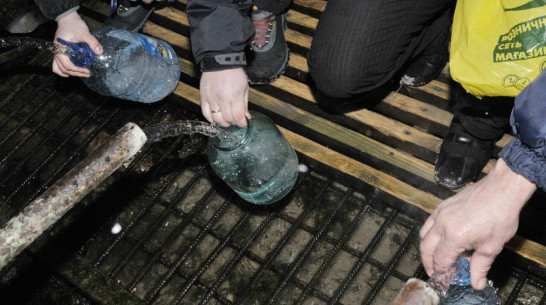 Воронежский Роспотребнадзор забраковал воду в 19 местах крещенских купаний