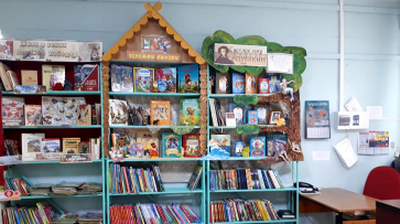 В Подгоренском районе детская библиотека и Дом культуры получат субсидии