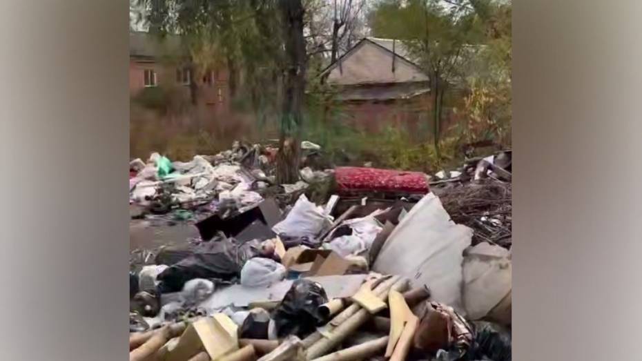 Воронежцы пожаловались на огромную свалку на улице Солнечной