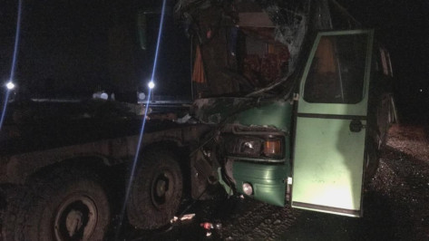 Автобус врезался в военный тягач в Воронежской области: пострадали 8 человек