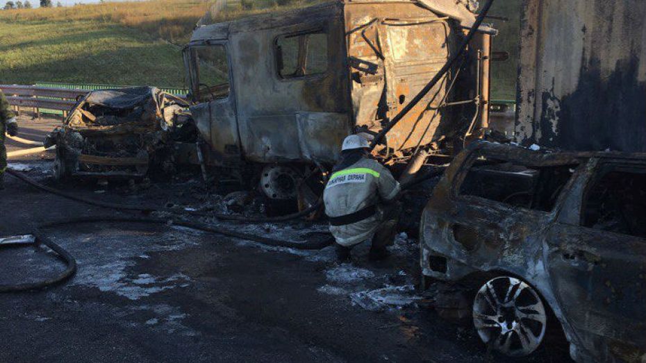 Число пострадавших в ДТП с 34 машинами в Воронежской области выросло до 5