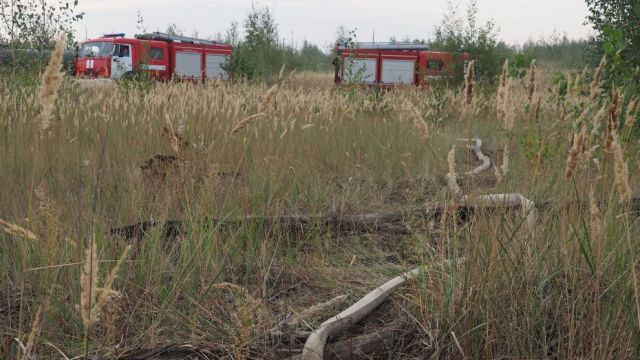 В 13 районах Воронежской области установили III класс пожарной опасности