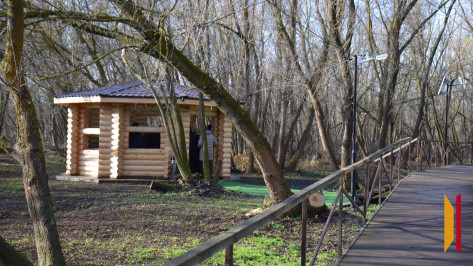 В верхнемамонском селе Лозовое благоустроили парк