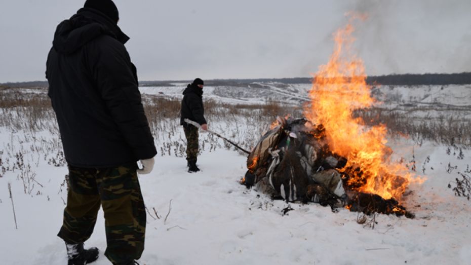Воронежские сотрудники ФСКН сожгли 65 кг наркотиков