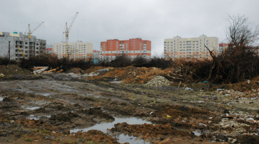 Управление экологии Воронежа нашло нарушения при вырубке в яблоневом саду