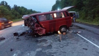 Старшие сестры передумали опекать детей погибшей в ДТП под Воронежем