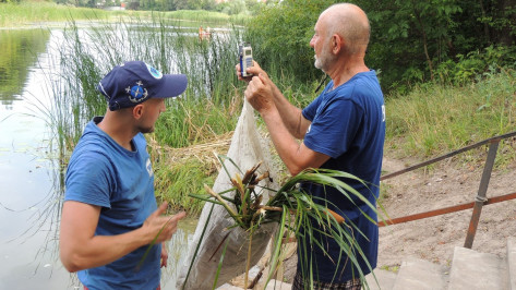 В воронежские реки могут выпустить 400 тыс рыб