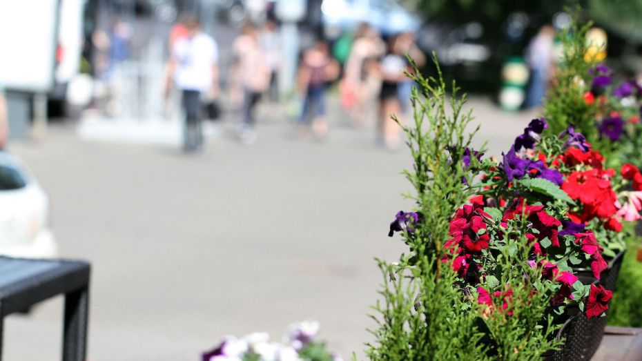В Воронеже появится улица в честь ботаника Михаила Цвета