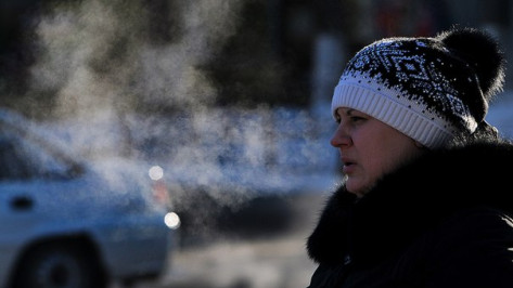 В выходные в Воронеже похолодает до -7 градусов