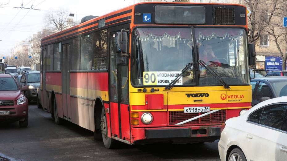 В Воронеже сотрудники ГИБДД проверят водителей общественного транспорта на соблюдение ПДД