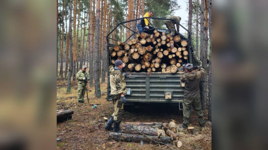 Борисоглебские волонтеры отправили бойцам СВО древесину для обустройства блиндажей