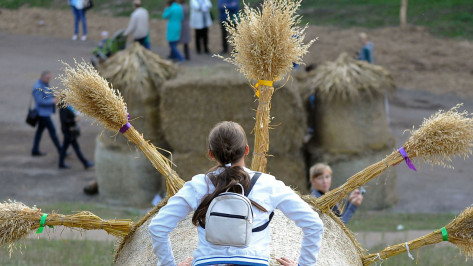 Воронежцы увидят животных из каменных валунов на фестивале «Город-сад» в 2019 году