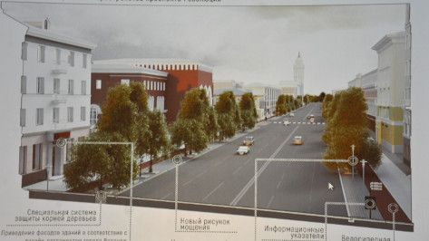 Мэрия Воронежа презентовала проект пешеходного маршрута по центру города