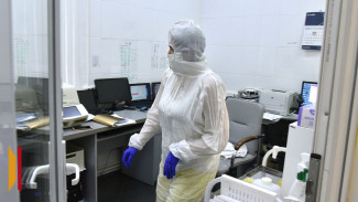 Только 36 случаев ковида выявили за неделю в Воронежской области