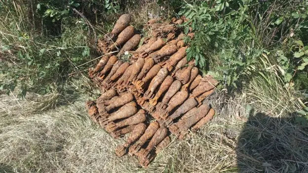 Житель воронежского села Мастюгино нашел на своем участке 179 минометных мин времен ВОВ