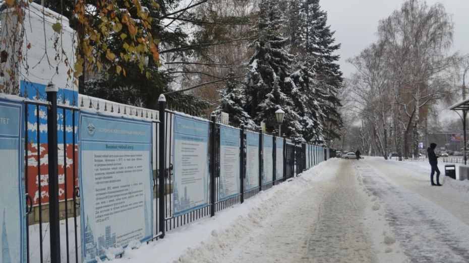 Как убирают снег в Воронеже и соседство туалета с памятником: что обсуждают в соцсетях