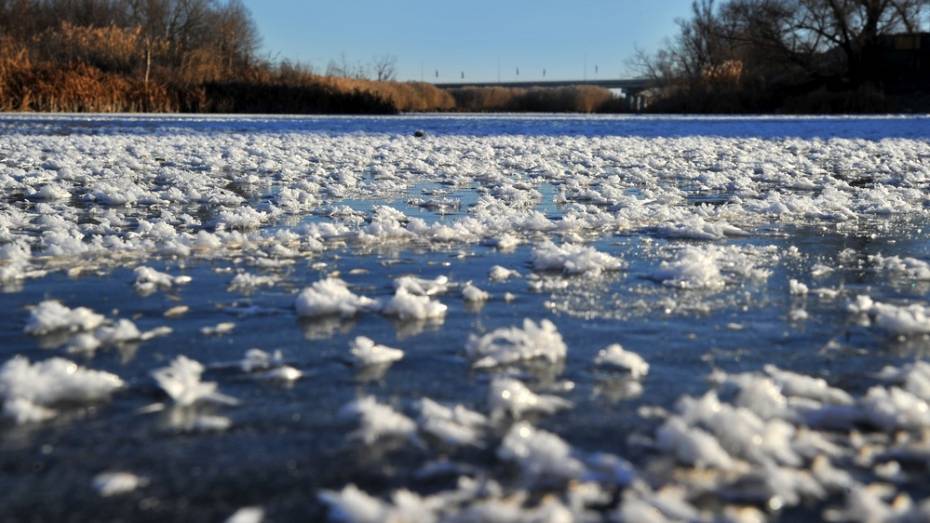 «Ледяные цветы» появились на реке Битюг в Боброве