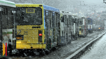 На рабочей неделе воронежцев ждет пасмурная погода, мокрый снег и дождь