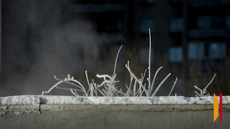 Декабрь в Воронежской области может стать аномально холодным