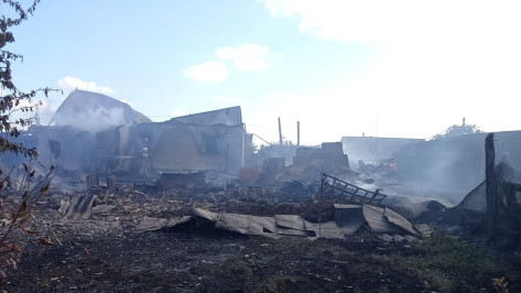 Появились кадры с места ночного пожара в воронежском селе, где сгорели свиньи и утки