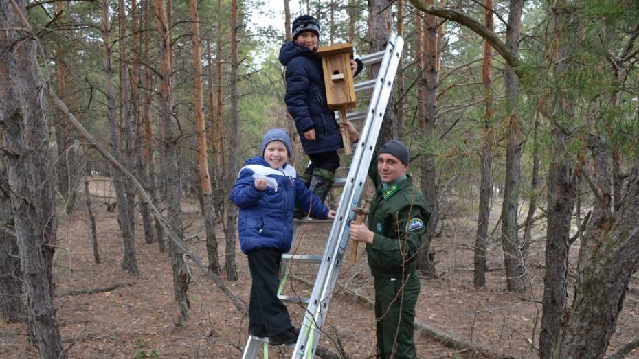 Верхнемамонские школьники развесили в лесу 30 скворечников
