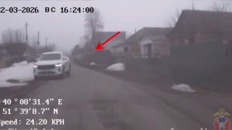 В Воронежской области пьяный водитель хотел уехать от полицейских