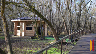 В верхнемамонском селе Лозовое благоустроили парк