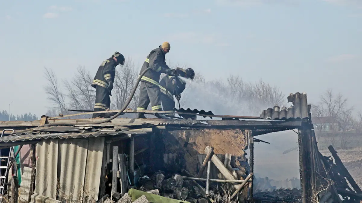 Крупным ландшафтным пожаром в воронежской Мечетке заинтересовалась  прокуратура