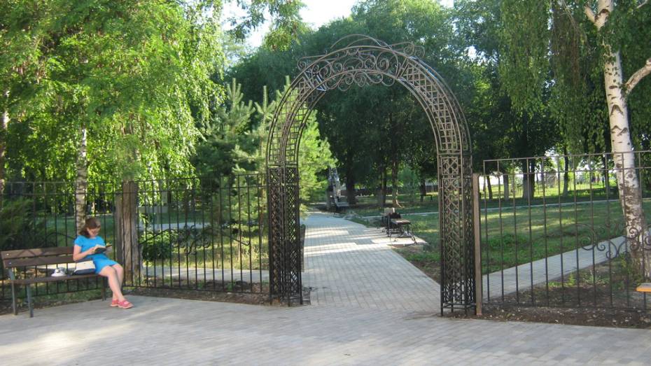 В таловском селе Синявка благоустроят парк