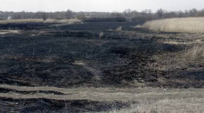 Риски пожаров не снизились в Воронежской области с уходом аномальной жары