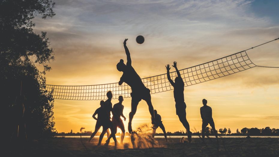 В воронежском парке «Дельфин» появятся открытые площадки для пляжного футбола и стритбола