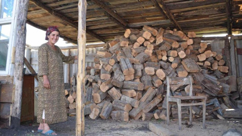 Храбрая Тахмина. Как в воронежском селе выживает многодетная семья без документов