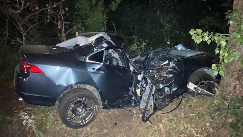 В ночном ДТП в Воронежской области погиб 29-летний водитель