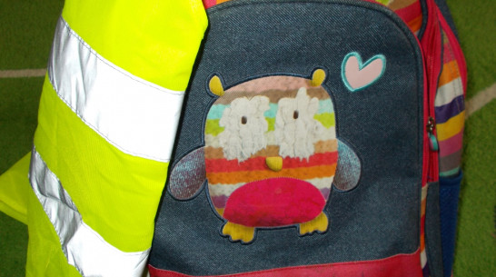 Воронежские полицейские позвали подростков на флэш-моб со светоотражателями