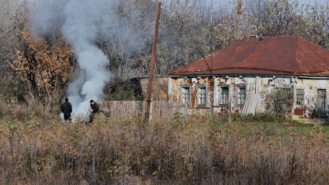Особый противопожарный режим планируют ввести в Воронежской области с 15 апреля