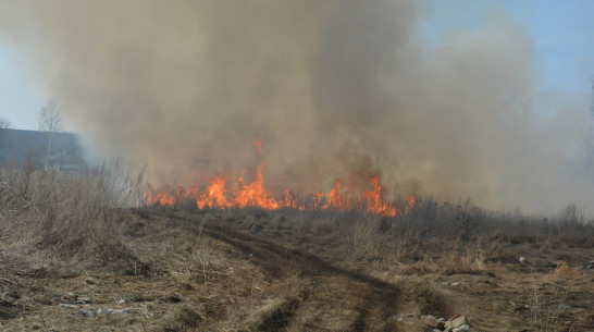 В нижнедевицком селе из-за непотушенного окурка сгорели два дома