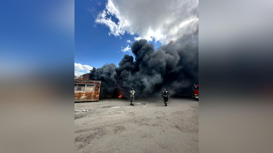 Воронежцы сняли на видео пожар на продуктовом складе