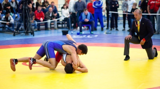 Губернатор возглавит оргкомитет чемпионата по греко-римской борьбе в Воронеже