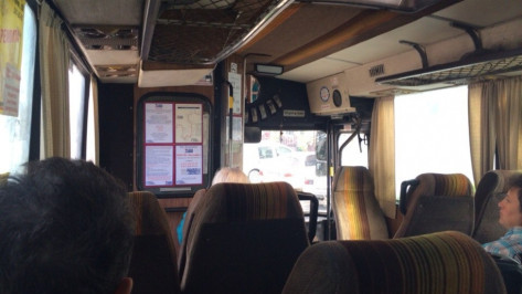 В Воронеже 3-летняя девочка пострадала при резком торможении автобуса