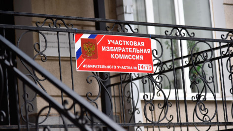 Общая явка на выборах в Воронежской области составила более 13,5 процента