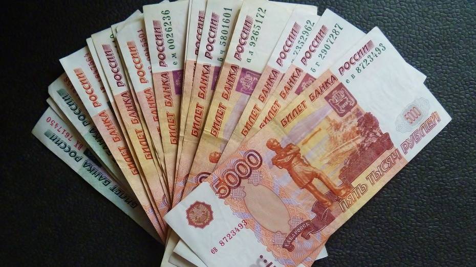 За сутки воронежцы отдали мошенникам около 570 тыс рублей