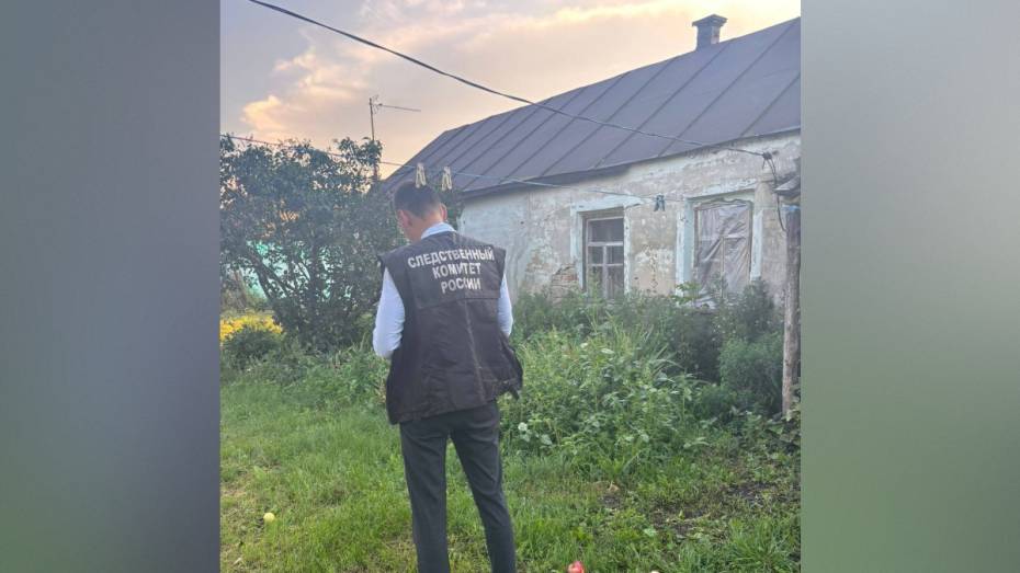 В Воронежской области женщина заступилась за мать и зарезала сожителя