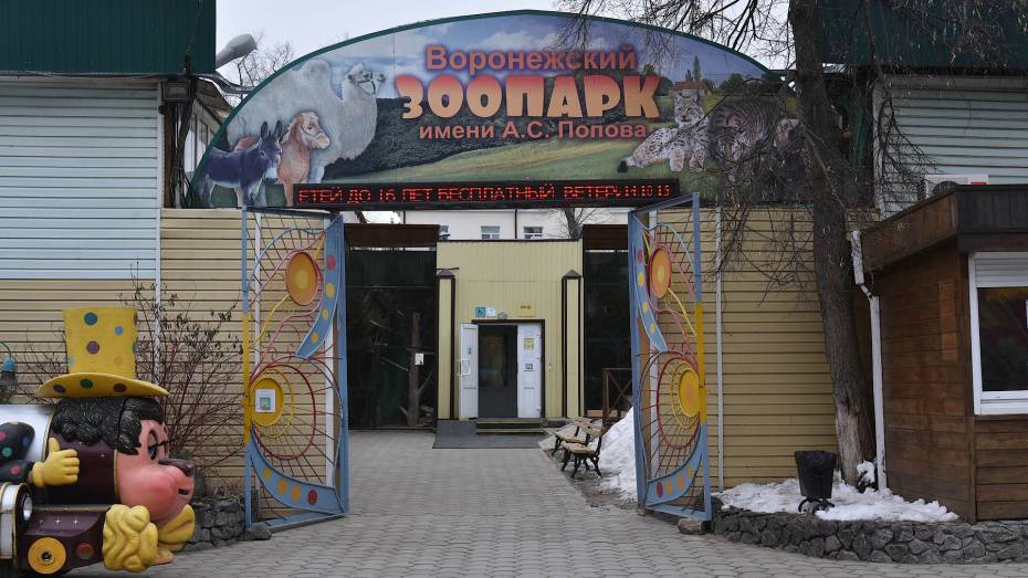 Почти 6 млн рублей потратят на охрану Воронежского зоопарка
